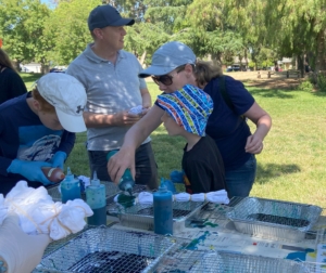 tie dye at ST Park