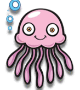 Jellyfish
