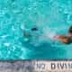 person diving on pool during daytime