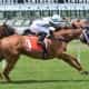 horse crossing the finish line