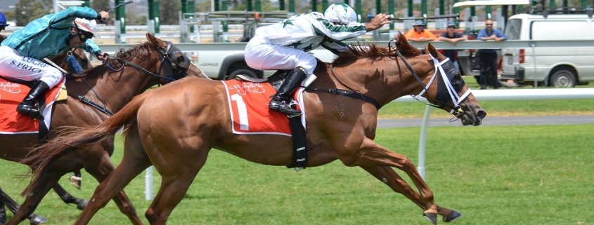 horse crossing the finish line