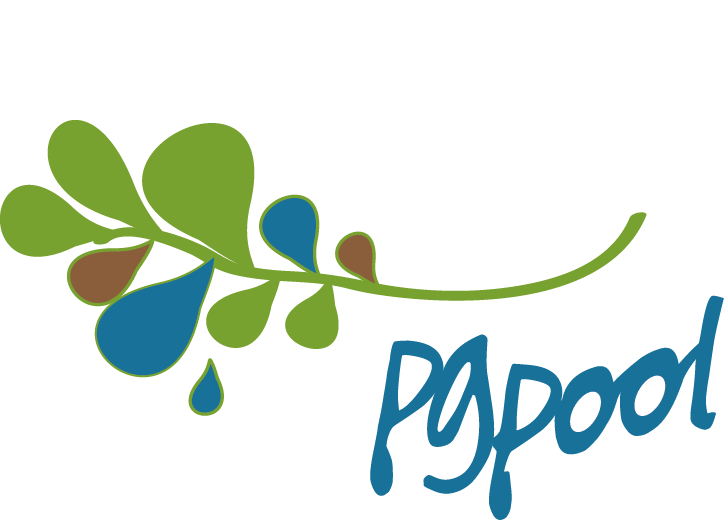pg_pool_logo PG Pool