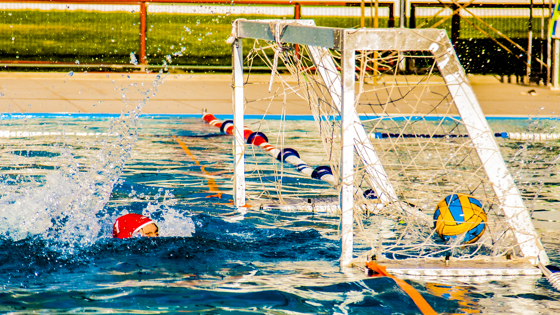 Water_Polo_Image
