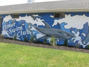 elmer swim club