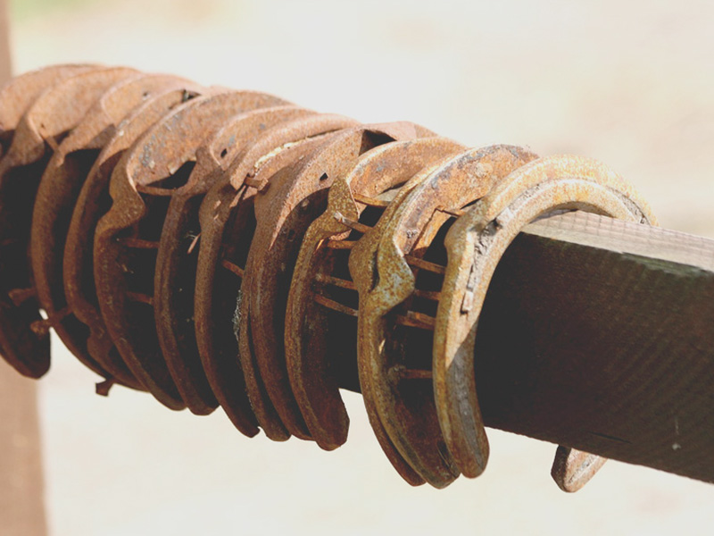 horseshoes horse shoes