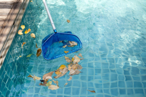 cleaning-swimming-pool-fallen-leaves-blue-skimmer-summer-time-96846921-300x200