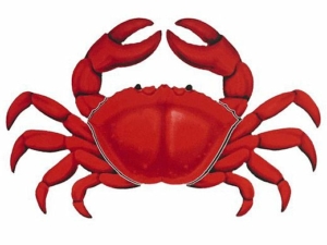 Crabnight