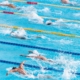 Swim Team